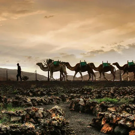 Home2book Bright Playablanca, Terrace Apartment Playa Blanca (Lanzarote)